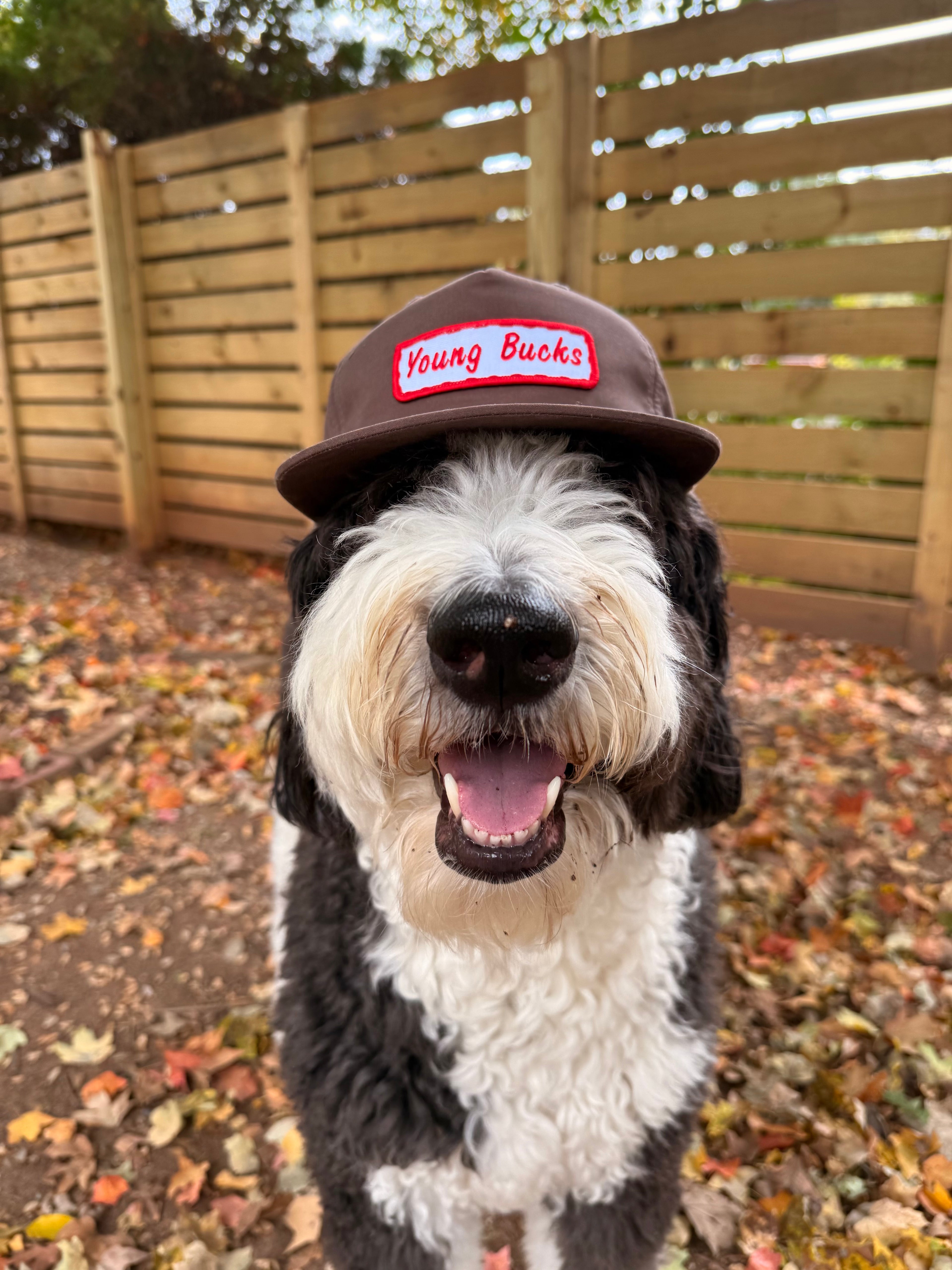 Buck Brown – Richardson 256 Five-Panel Hat (Hand-Sewn Young Bucks Patch)